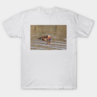 Mandarin Duck T-Shirt